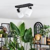 Fallhagen Lampa sufitowa, Spot sufitowy Czarny, 2-punktowe