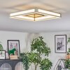 Danor Lampa sufitowa LED Nikiel matowy, 1-punktowy