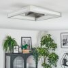 Danor Lampa sufitowa LED Nikiel matowy, 1-punktowy
