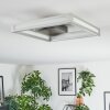 Danor Lampa sufitowa LED Nikiel matowy, 1-punktowy