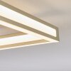 Danor Lampa sufitowa LED Nikiel matowy, 1-punktowy