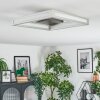 Danor Lampa sufitowa LED Nikiel matowy, 1-punktowy