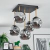 Ripoll lampa sufitowa, kula świetlna złoty, czarny, 5-punktowe