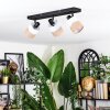 Fallhagen Lampa sufitowa, Spot sufitowy Czarny, 3-punktowe