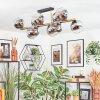 Koyoto lampa sufitowa, kula świetlna złoty, czarny, 10-punktowe