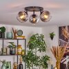 Koyoto lampa sufitowa, kula świetlna chrom, przezroczysty, przydymiony, 3-punktowe