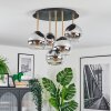 Koyoto lampa sufitowa, kula świetlna mosiądz, czarny, 5-punktowe