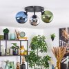 Gastor Lampa sufitowa, Kula świetlna Niebeieski, Chrom, Zielony, Przydymiony, 3-punktowe Gastor Lampa sufitowa, Kula świetlna Niebeieski, Chrom, Zielony, Przydymiony, 3-punktowe