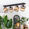 Ramila Lampa sufitowa, Spot sufitowy Czarny, 4-punktowe