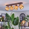 Ramila Lampa sufitowa, Spot sufitowy Czarny, 4-punktowe