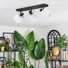 Bassagoda Lampa sufitowa, Spot sufitowy Czarny, 3-punktowe