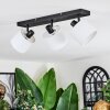 Bassagoda Lampa sufitowa, Spot sufitowy Czarny, 3-punktowe