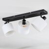 Bassagoda Lampa sufitowa, Spot sufitowy Czarny, 3-punktowe