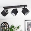 Bassagoda Lampa sufitowa, Spot sufitowy Czarny, 3-punktowe