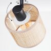 Sabadim Lampa sufitowa, Spot sufitowy Czarny, 3-punktowe