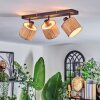 Bongal Lampa sufitowa, Spot sufitowy Czarny, 3-punktowe
