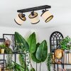 Chellas Lampa sufitowa, Spot sufitowy Czarny, 3-punktowe