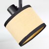 Chellas Lampa sufitowa, Spot sufitowy Czarny, 4-punktowe