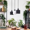 Bassagoda lampa wisząca, lampa wisząca kolory naturalne, czarny, 3-punktowe
