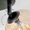 Chehalis lampa sufitowa, kula świetlna 48.5 cm bursztynowy, 3-punktowe