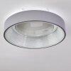 Lausanne Lampa Sufitowa LED Biały, 1-punktowy, Zdalne sterowanie