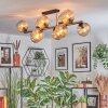 Koyoto lampa sufitowa, kula świetlna złoty, czarny, 10-punktowe