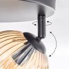 Koyoto Lampa sufitowa, Kula świetlna W kolorze bursztynu, Przezroczysty, 3-punktowe