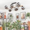Ripoll lampa sufitowa, kula świetlna złoty, czarny, 10-punktowe