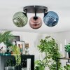 Chehalis Lampa sufitowa, Kula świetlna Niebeieski, Zielony, W kolorze miedzi, 3-punktowe
