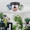 Chehalis Lampa sufitowa, Kula świetlna Niebeieski, Zielony, Przezroczysty, W kolorze miedzi, 3-punktowe