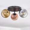 Ripoll lampa sufitowa, kula świetlna złoty, przezroczysty, miedziany, przydymiony, 3-punktowe