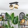 Chellas Lampa sufitowa, Spot sufitowy Czarny, 2-punktowe