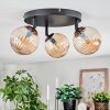 Chehalis Lampa sufitowa, Kula świetlna W kolorze bursztynu, 3-punktowe Chehalis Lampa sufitowa, Kula świetlna W kolorze bursztynu, 3-punktowe