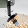 Chehalis Lampa sufitowa, Kula świetlna W kolorze bursztynu, 3-punktowe Chehalis Lampa sufitowa, Kula świetlna W kolorze bursztynu, 3-punktowe