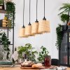 Lindberg lampa wisząca, lampa wisząca kolory naturalne, czarny, 4-punktowe