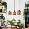 Cando Lampa wisząca, Lampa wisząca Ecru, Czarny, 3-punktowe