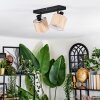 Bongal Lampa sufitowa, Spot sufitowy Czarny, 2-punktowe