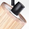 Bongal Lampa sufitowa, Spot sufitowy Czarny, 2-punktowe