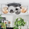 Chehalis lampa sufitowa, kula świetlna bursztynowy, przydymiony, 4-punktowe