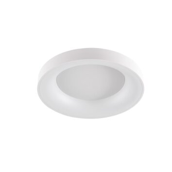WOFI CAMERON Lampa Sufitowa LED Biały, 1-punktowy, Zdalne sterowanie