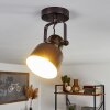 Presa Lampa Sufitowa Czarny, 1-punktowy