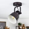 Presa Lampa Sufitowa Czarny, 1-punktowy