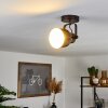 Presa Lampa Sufitowa Czarny, 1-punktowy