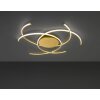 Wofi JULS Lampa Sufitowa LED Złoty, 1-punktowy