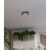Oświetlenie Eglo ROSLEY Lampa sufitowa, Spot sufitowy Czarny, 2-punktowe