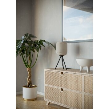 Oświetlenie Eglo BELGRAVE Lampa stołowa Czarny, 1-punktowy