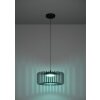 Oświetlenie Eglo GINESTRONE-Z Lampa wisząca LED Czarny, 1-punktowy, Zmieniacz kolorów