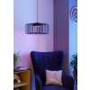 Oświetlenie Eglo GINESTRONE-Z Lampa wisząca LED Czarny, 1-punktowy, Zmieniacz kolorów