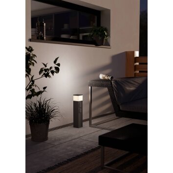 Oświetlenie Eglo EGLO Lampa z wtyczką Antracytowy, 1-punktowy Oświetlenie Eglo EGLO Lampa z wtyczką Antracytowy, 1-punktowy