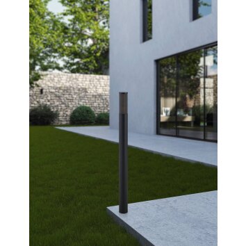 Oświetlenie Eglo SALLE Lampa stojąca Czarny, 1-punktowy Oświetlenie Eglo SALLE Lampa stojąca Czarny, 1-punktowy